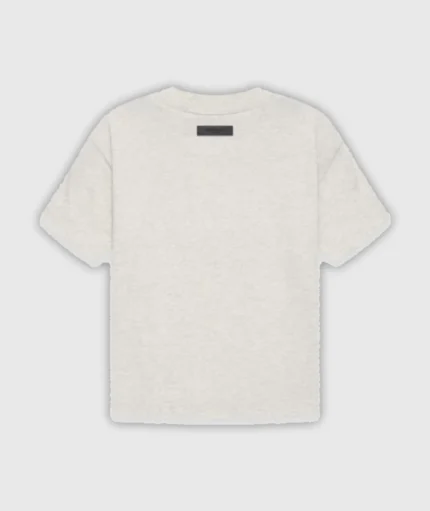 Essentials 1977 T Shirt Grey (1)