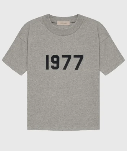 Essentials 1997 Cotton T Shirt Grey (3)